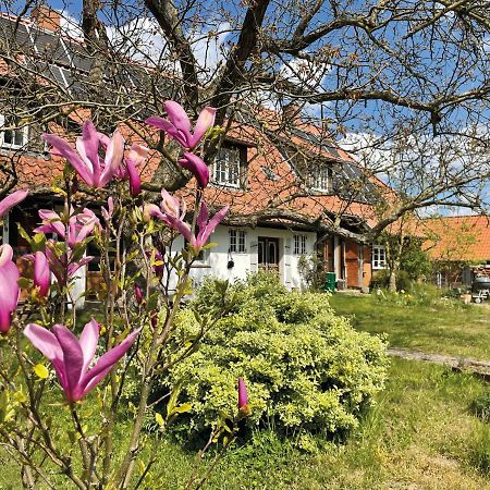 Ferienhof Rauchhaus Karft エクステリア 写真