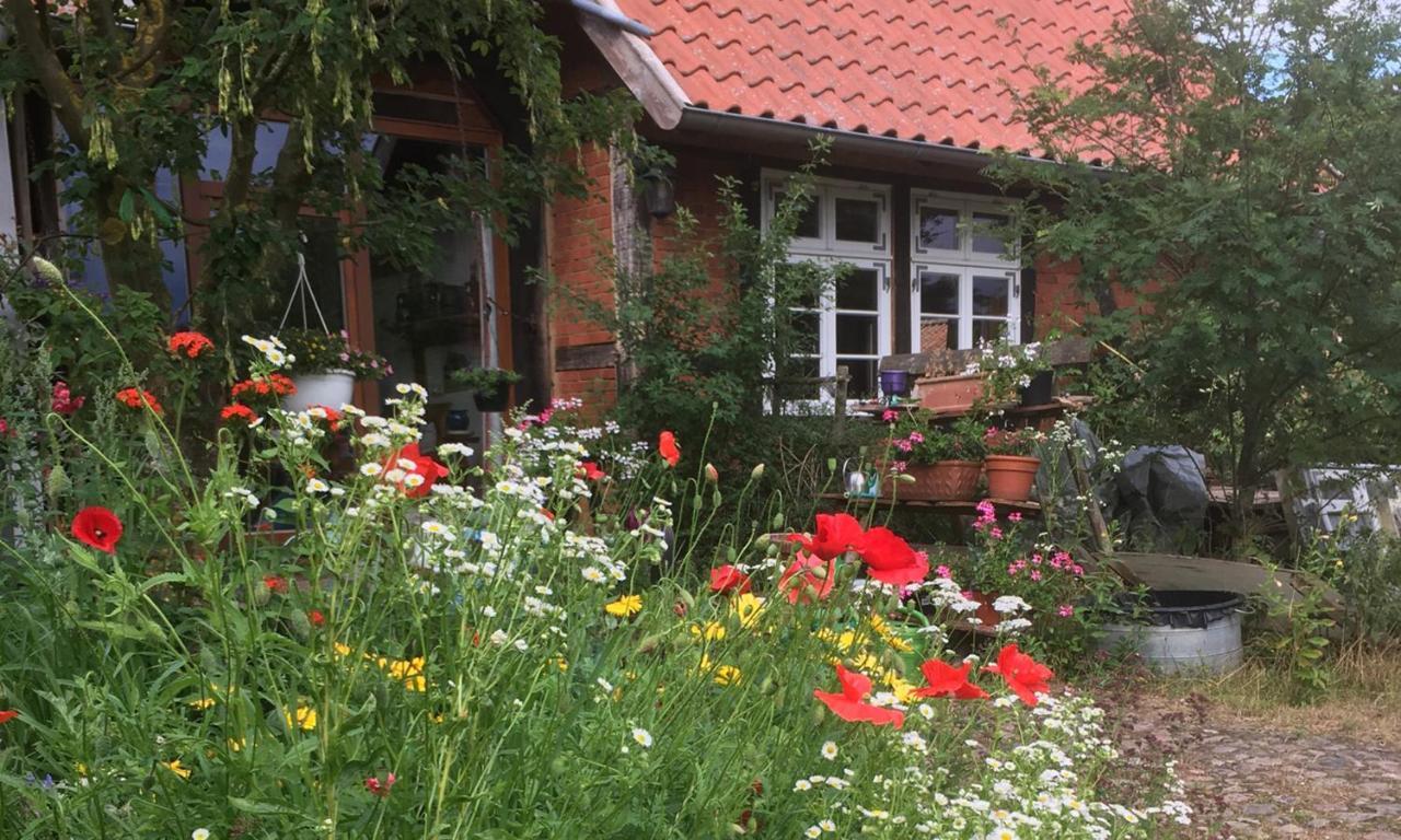 Ferienhof Rauchhaus Karft エクステリア 写真