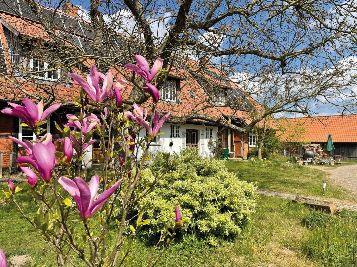 Ferienhof Rauchhaus Karft エクステリア 写真